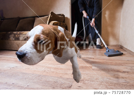 Very terrible vacuum cleaner 75728770