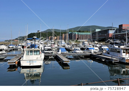 小樽港マリーナ(北海道小樽市) 小樽港マリーナ(北海道小樽市) 75728947