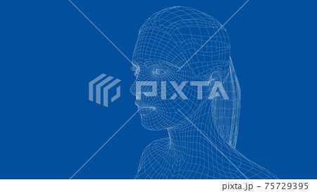 Wireframe portrait of a young beautiful girl 75729395