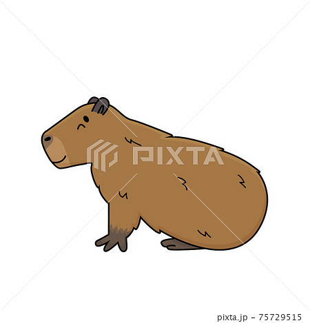 Download Capybara, Mammal, Capibara. Royalty-Free Vector Graphic