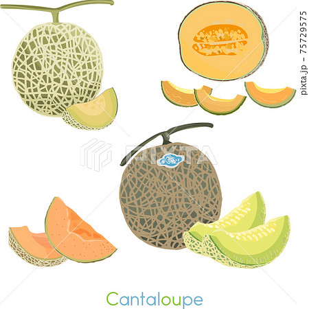 フルーツ 果物 果実 75729575