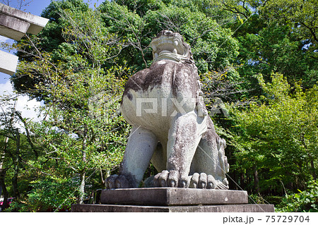 山梨県甲府にある武田神社 75729704