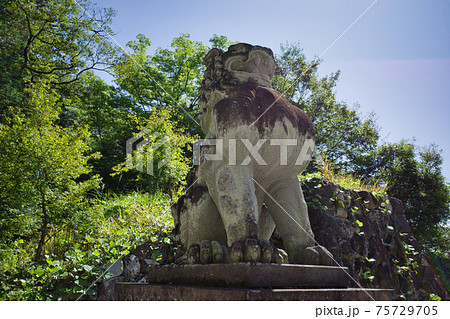 山梨県甲府にある武田神社 山梨県甲府にある武田神社 75729705