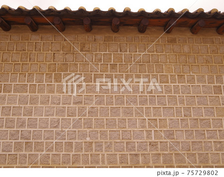 春 桜 スポット 75729802