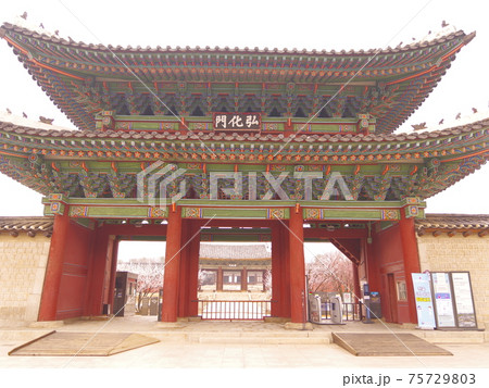 春 桜 王宮 75729803