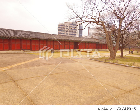 樹木 春 桜 75729840