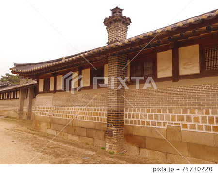 桜 万 春 75730220