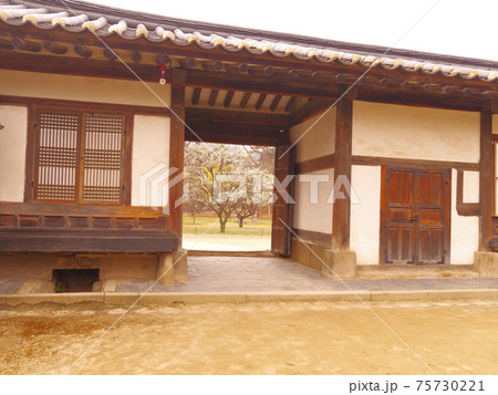 桜 万 春 75730221