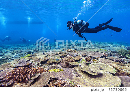 スキューバダイビング 75730866