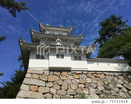 津城 75731938