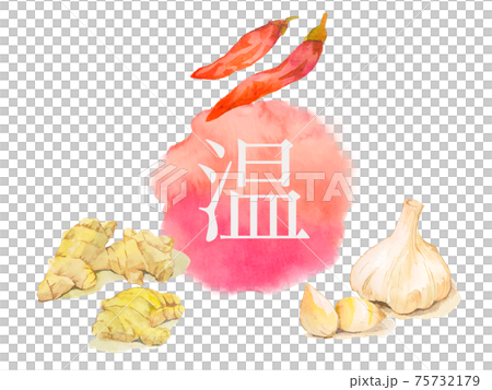 Ginger garlic chili condiments, warm watercolor icons, and several other variations 75732179