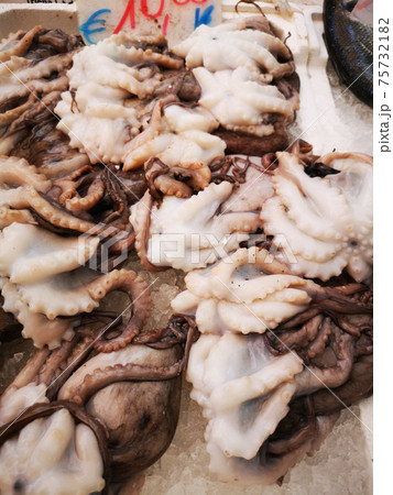Cuttlefish in open seamarket Cuttlefish in open seamarket 75732182