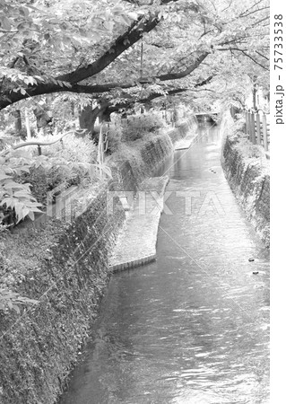 モノクロ 川岸 水 水面 水辺 (2021年3月登録) 最大サイズ:M モノクロ 川岸 水 水面 水辺 (2021年3月登録) 最大サイズ:M 75733538