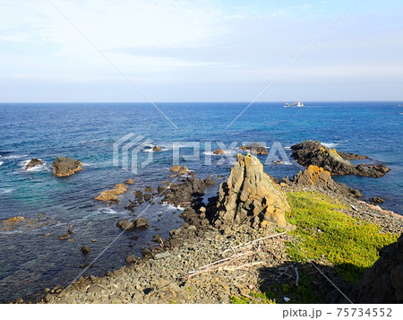 北海道　礼文島　スコトン岬 75734552