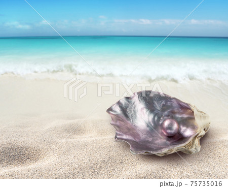 Oyster shell with a pearl on the beach Oyster shell with a pearl on the beach 75735016
