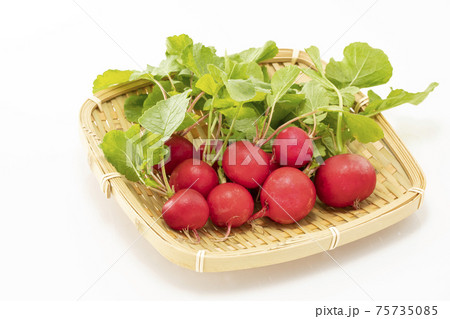 白バックでざるに乗せたラディッシュ 75735085