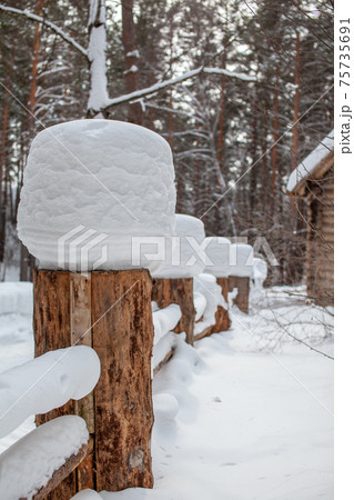 Large snow caps on the stumps of the fence in winter. Large snow caps on the stumps of the fence in winter. 75735691