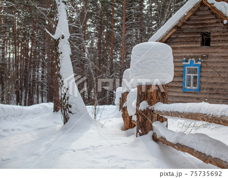 Large snow caps on the stumps of the fence in winter. 75735692