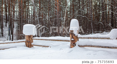 Large snow caps on the stumps of the fence in winter. 75735693