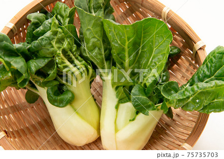 ミニ広東白菜 ミニ広東白菜 75735703