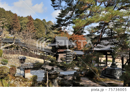 山口県山口市香山町にある香山公園内を瑠璃光寺から見た風景の写真素材