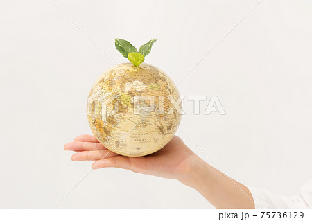 エコロジー　サスティナブル　地球環境　手元 75736129