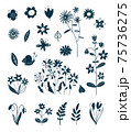 Decorative elements of spring and summer plants. Easter decoration. Silhouettes of flowers. Wildflowers. Wild grass. Floral elements for your design. Vector illustration. 75736275