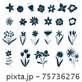 Scandinavian flower elements. Doodle plants, leaves flowers and branches vector set. Wildflowers. Floral elements for your design. Vector illustration. Black silhouettes of summer and spring flowers. 75736276