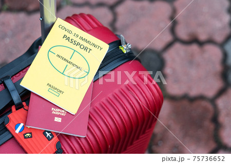 Conceptual Covid-19 Immunity Passport and travel passport on luggage 75736652