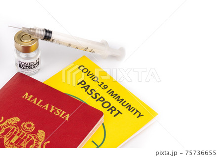 Concept of Covid-19 Immunity Passport for travel with vial and syringe 75736655