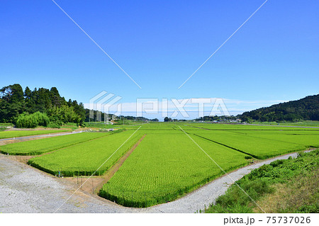 岩手県陸前高田市の風景(2020年夏) 75737026