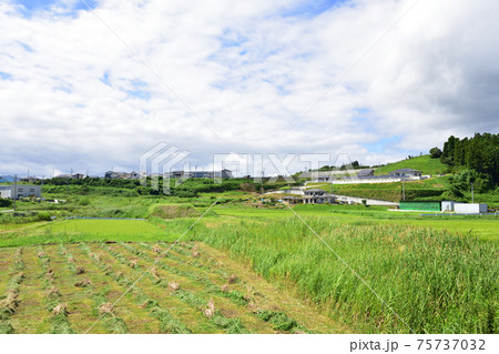 岩手県陸前高田市の風景(2020年夏) 岩手県陸前高田市の風景(2020年夏) 75737032