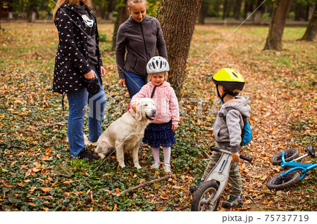Introducing cute dog to a lovely preschool girl 75737719