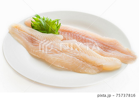 パンガシウス　フィレ 75737816