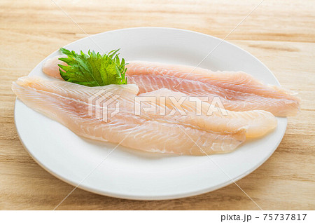 パンガシウス　フィレ 75737817