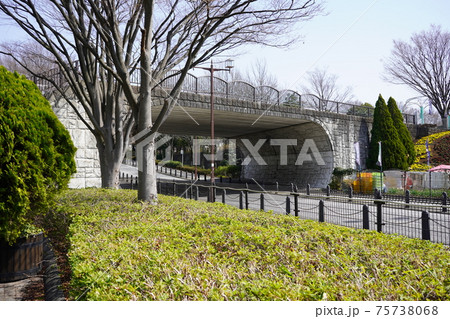 神奈川県立相模原公園 リリちゃん橋 75738068