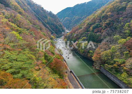 湯原温泉街 旭川 秋 岡山県 真庭市 美作三湯 湯原温泉街 旭川 秋 岡山県 真庭市 美作三湯 75738207