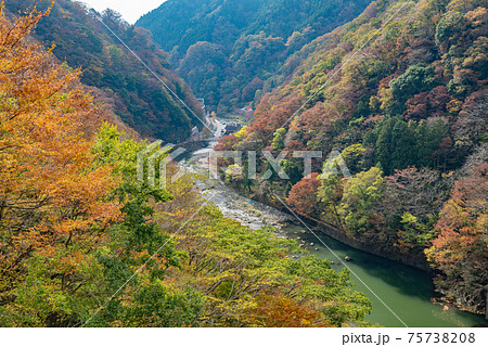 湯原温泉街　旭川　秋　岡山県　真庭市　美作三湯 75738208