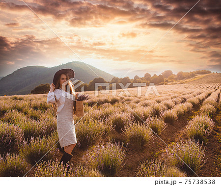 The extraordinary day on a lavender plantation The extraordinary day on a lavender plantation 75738538