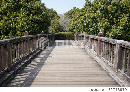 相模原公園 水無月橋 相模原公園 水無月橋 75738850