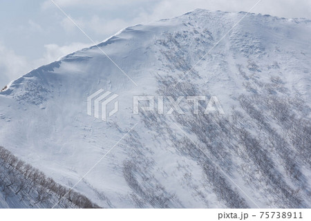 冬の日高山脈　雪庇の発達した野塚岳西峰 75738911