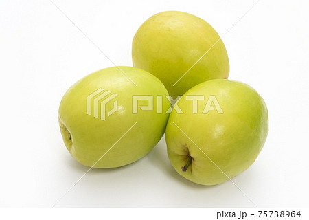 インドナツメ インドナツメ 75738964