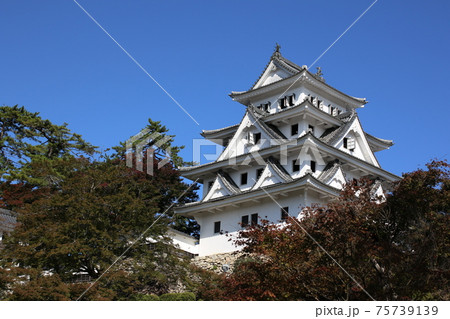 郡上八幡城 郡上八幡城 75739139