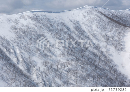 冬の日高山脈　雪庇の発達した国境稜線 75739282