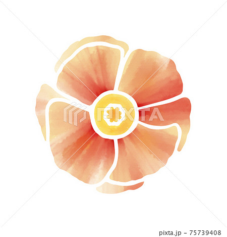 水彩風 淡いオレンジのポピーの花のイラスト素材