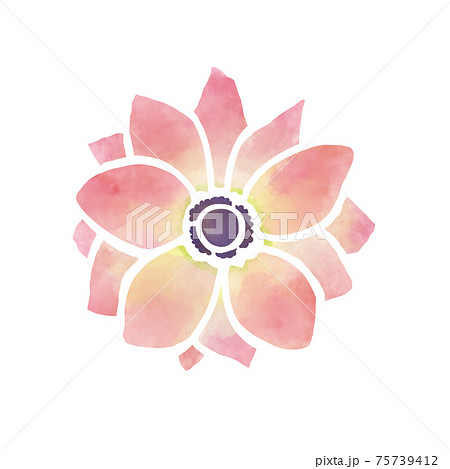 水彩風 淡いピンク色のアネモネの花のイラスト素材