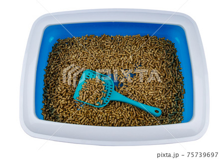 Cat's litter box with filler and scoop isolated on white background 75739697