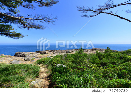 岩手県の重茂半島線、魹ヶ崎の風景 75740780
