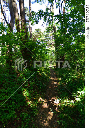 岩手県の重茂半島線、魹ヶ崎の風景 岩手県の重茂半島線、魹ヶ崎の風景 75740782