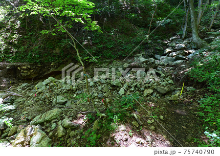 岩手県の重茂半島線、魹ヶ崎の風景 75740790